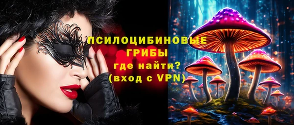 ешки Алзамай