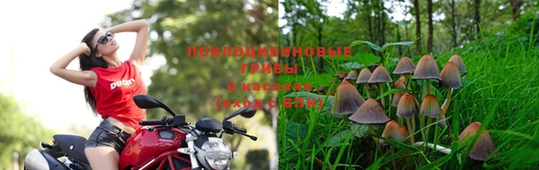 MDMA Алексин