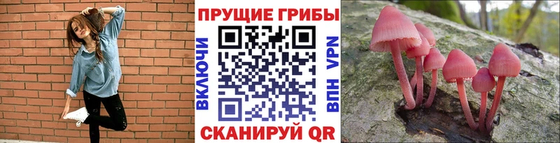 Псилоцибиновые грибы мухоморы  мега зеркало  Белорецк  купить закладку 